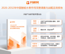 预计2030年我国智能水表需