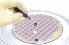 同样高度依赖海外供应