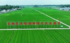 高达科技自承担了本项目建设后