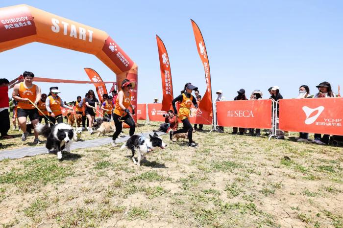 2024狗巴迪勇士赛首站打响，苏州站超200组人犬搭